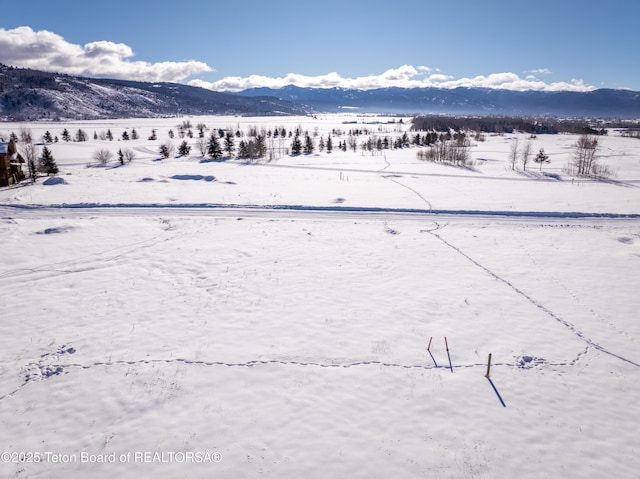 34 Bison Dr, Victor, ID 83455 - photo 31