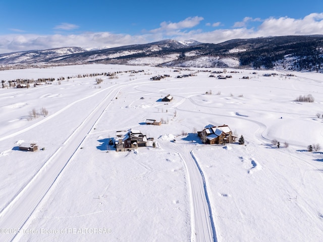 34 Bison Dr, Victor, ID 83455 - photo 42