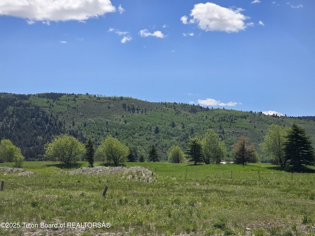 34 Bison Dr, Victor, ID 83455 - photo 14