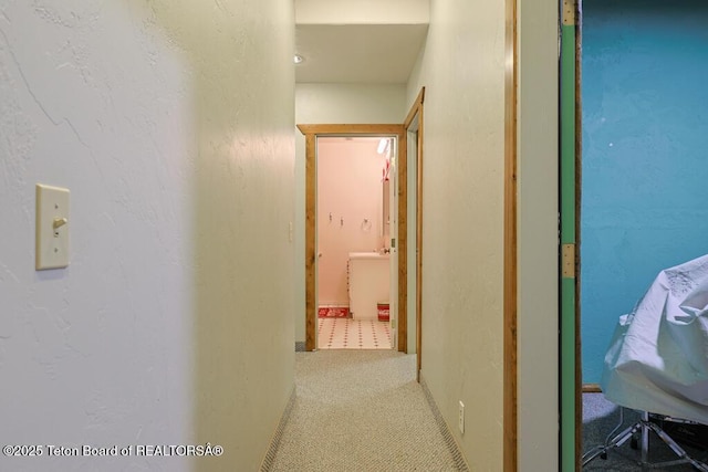 corridor with carpet flooring