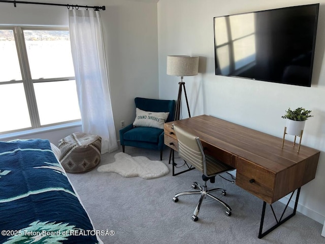 carpeted bedroom featuring multiple windows