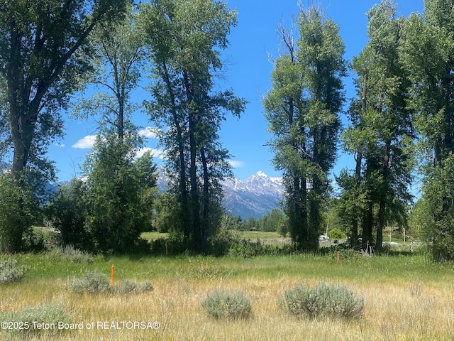 Listing photo 2 for 6045 N Spring Gulch Rd, Jackson WY 83001