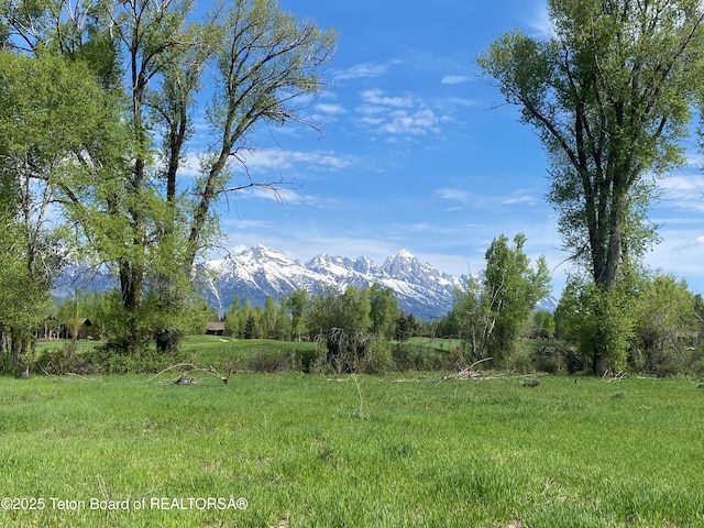 6045 N Spring Gulch Rd, Jackson WY, 83001 land for sale