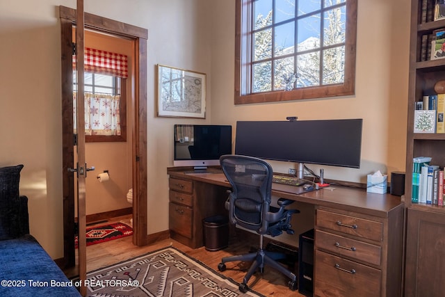 office space featuring plenty of natural light and light hardwood / wood-style floors