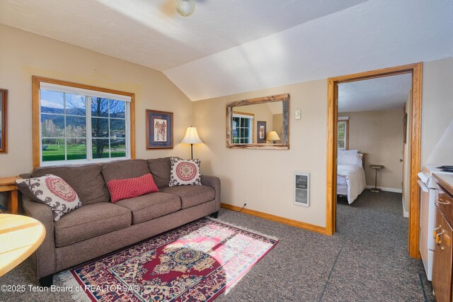 36 Trumpeter Ln, Swan Valley, ID 83449