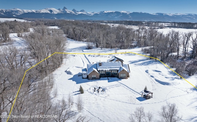 snowy aerial view featuring a mountain view