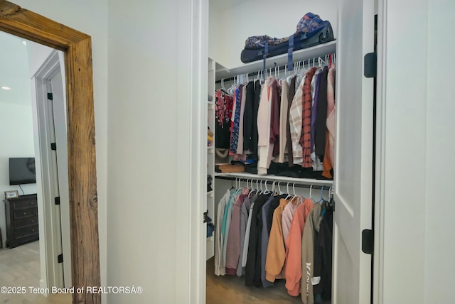 view of closet