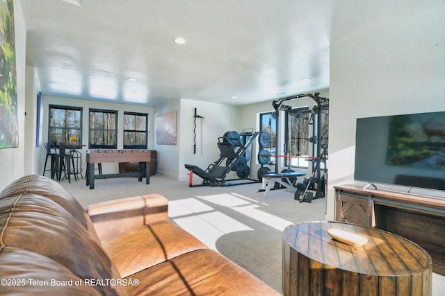 living room featuring plenty of natural light and light carpet