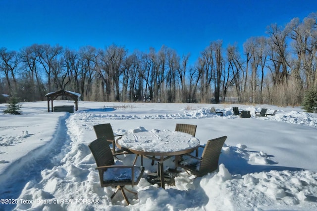 view of yard covered in snow