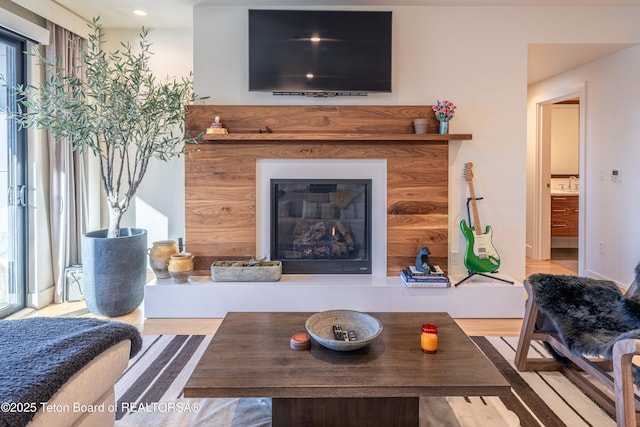 living room featuring light hardwood / wood-style floors