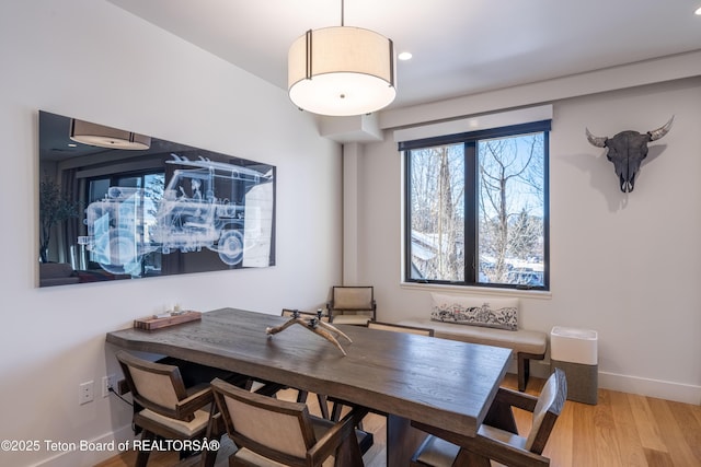 dining room with light hardwood / wood-style floors