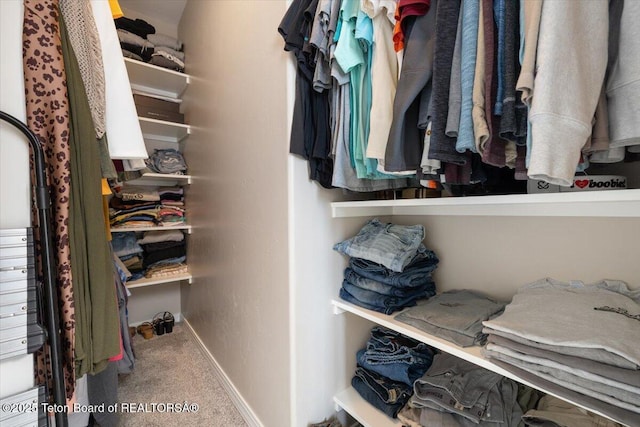 walk in closet with carpet flooring