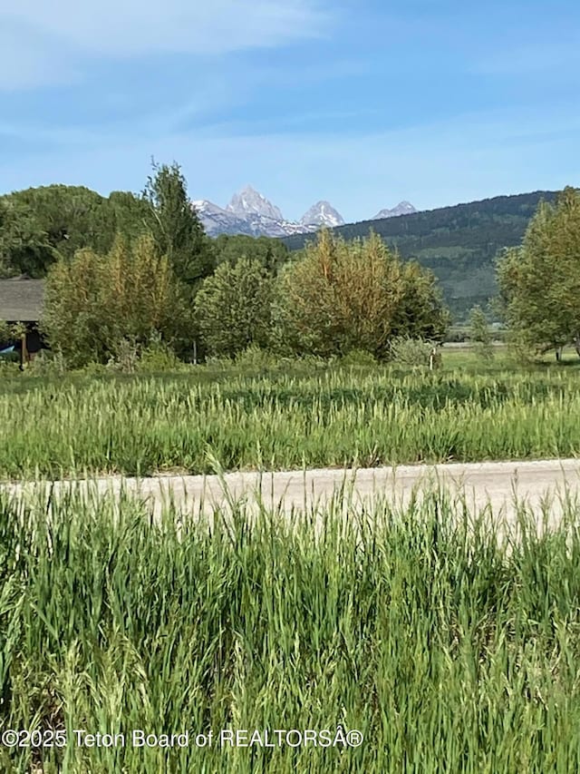 7041 Fox Meadows Dr, Victor ID, 83455 land for sale