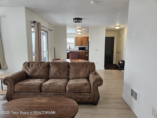 living room featuring light hardwood / wood-style flooring and a textured ceiling