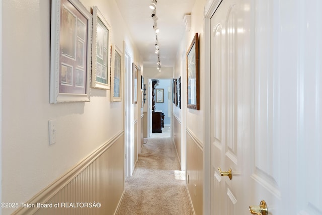 corridor with track lighting and light carpet