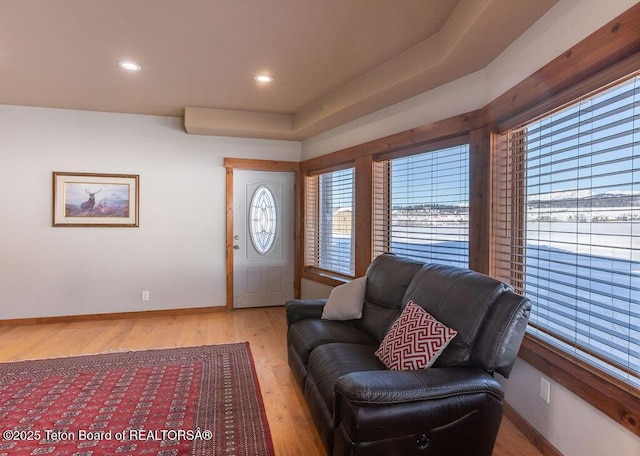 living room featuring light wood-type flooring