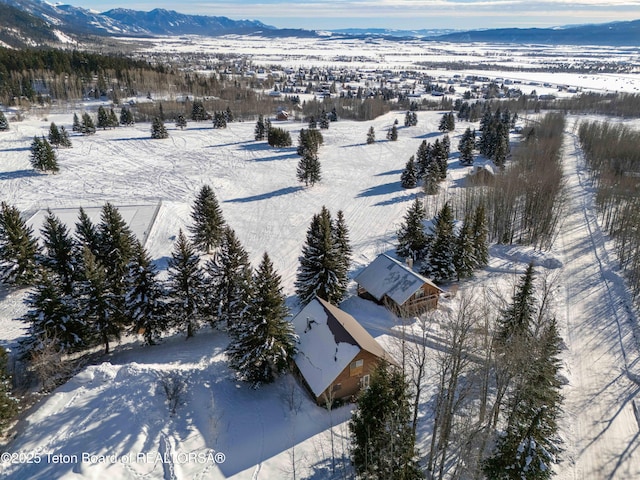 snowy aerial view featuring a mountain view