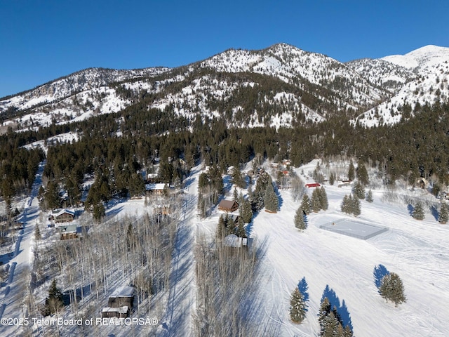 property view of mountains