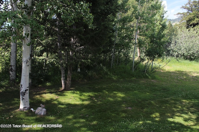 936 Vista Dr W, Star Valley Ranch, WY 83127 - photo 6