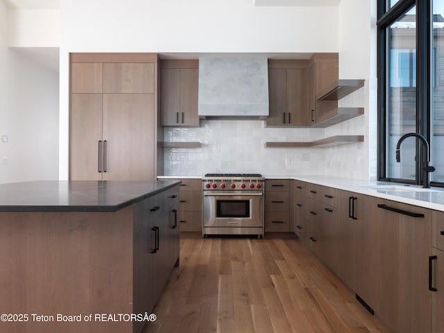 kitchen featuring a kitchen island, sink, designer range, decorative backsplash, and light hardwood / wood-style floors