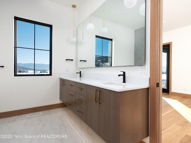 bathroom with vanity and wood-type flooring