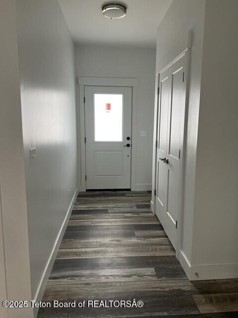 entryway featuring dark hardwood / wood-style floors