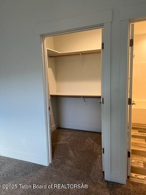 view of closet