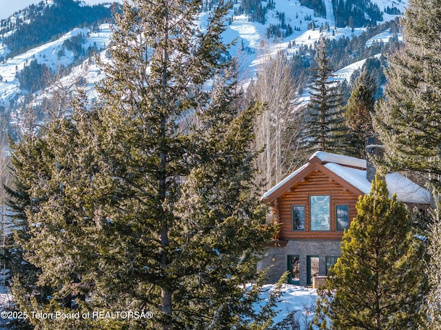 snow covered property with a mountain view