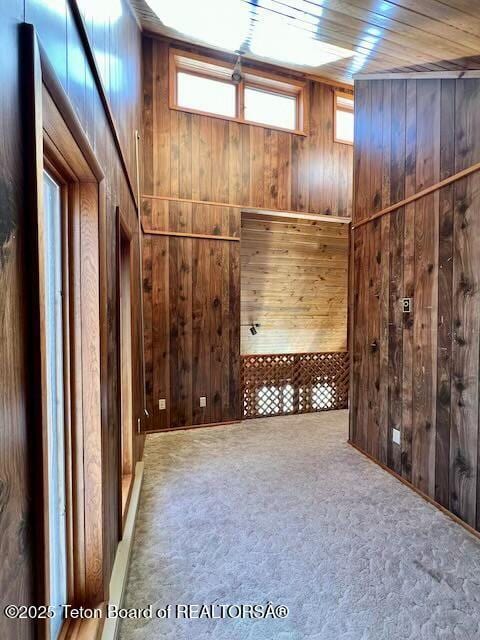 interior space featuring carpet flooring and wood walls