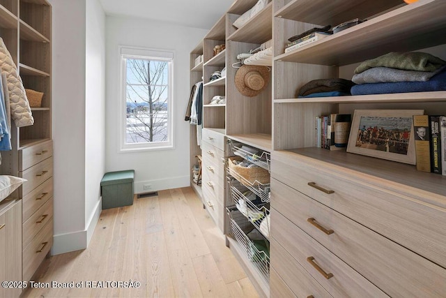 spacious closet with light hardwood / wood-style floors