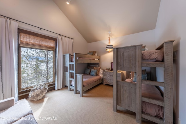 380 Cottongrass Rd, Driggs, ID 83422 - bedroom featuring carpet and vaulted ceiling