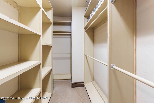 380 Cottongrass Rd, Driggs, ID 83422 - walk in closet featuring carpet flooring