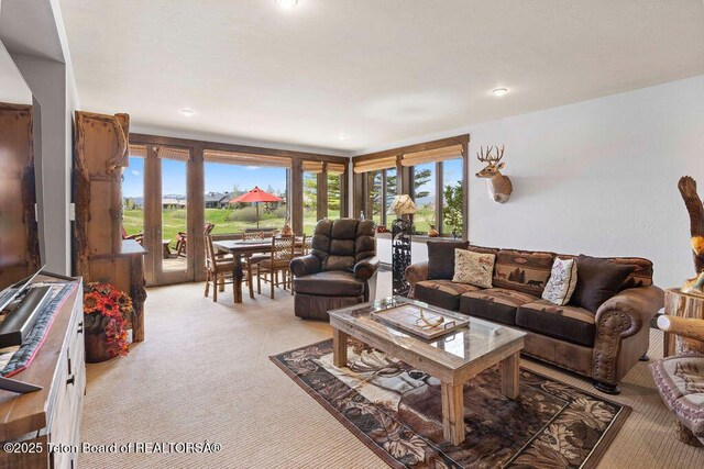 380 Cottongrass Rd, Driggs, ID 83422 - living area with carpet flooring and recessed lighting