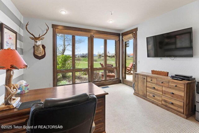 380 Cottongrass Rd, Driggs, ID 83422 - view of carpeted home office