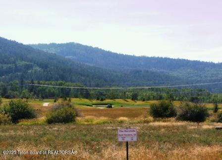 78 Hastings Dr, Victor ID, 83455 land for sale