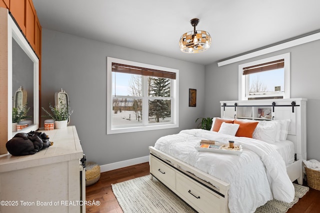 bedroom featuring multiple windows and dark hardwood / wood-style floors