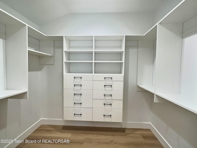 10 Bison Dr, Victor, ID 83455 - spacious closet with vaulted ceiling and hardwood / wood-style floors