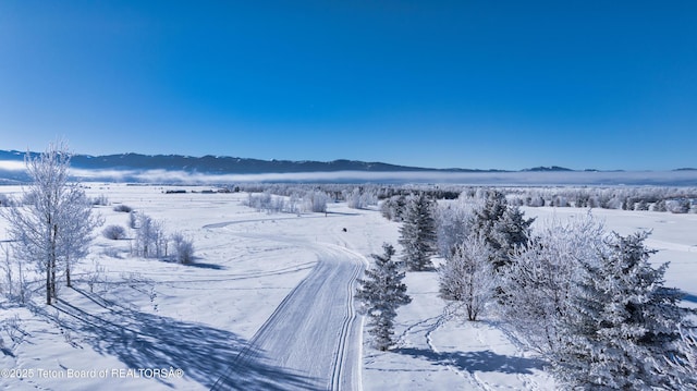 10 Bison Dr, Victor, ID 83455 - property view of mountains