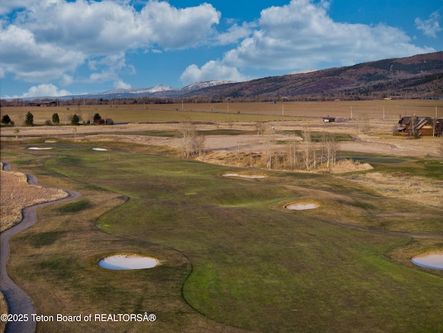 10 Bison Dr, Victor, ID 83455 - mountain view