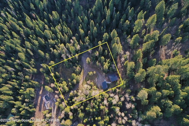 birds eye view of property with a forest view