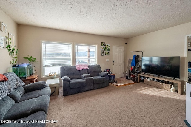 living room featuring carpet and a textured ceiling