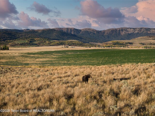 6352 W 1170 N, Driggs, ID 83442 - view of mountain backdrop with rural landscape