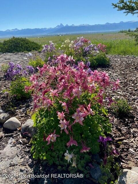 6352 W 1170 N, Driggs, ID 83442 - view of mountain backdrop