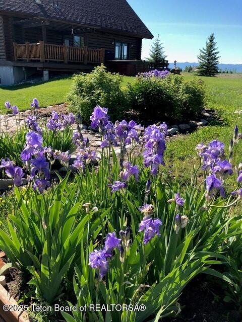 6352 W 1170 N, Driggs, ID 83442 - view of yard