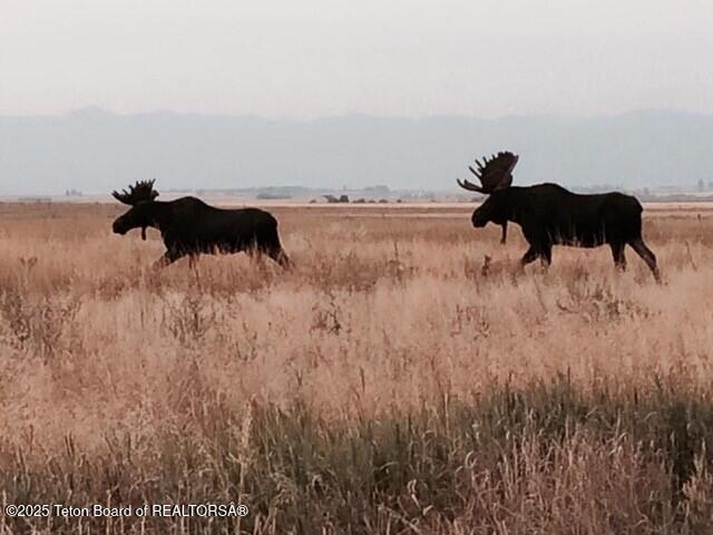 6352 W 1170 N, Driggs, ID 83442 - view of undeveloped land with rural landscape