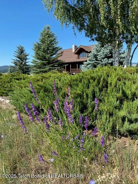 6352 W 1170 N, Driggs, ID 83442 - view of yard