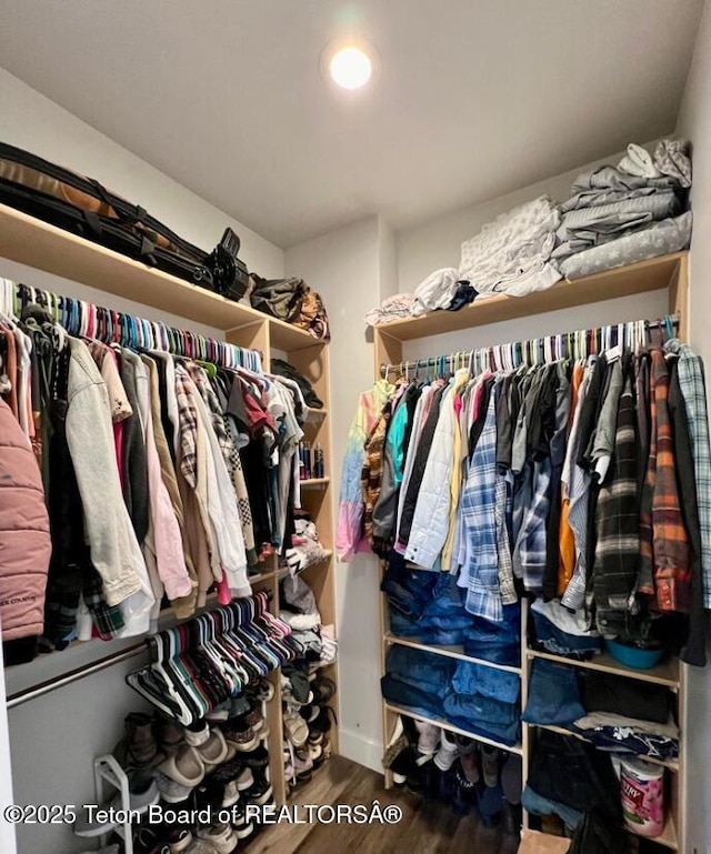 spacious closet with hardwood / wood-style flooring