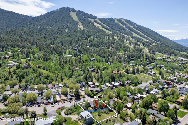 725 Cache Creek Dr, Jackson, WY 83001 - drone / aerial view with a mountain view