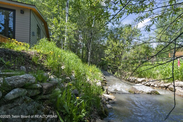 725 Cache Creek Dr, Jackson, WY 83001 - view of landscape