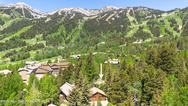 7590 Obsidian Rd, Teton Village, WY 83025 - photo 29